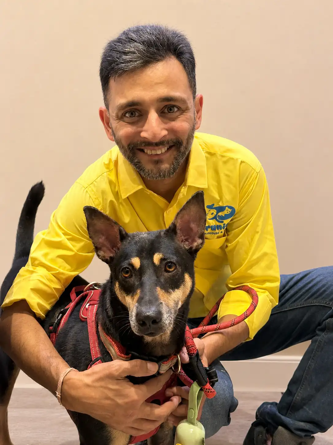 Happy pet at Brunie's Playhouse